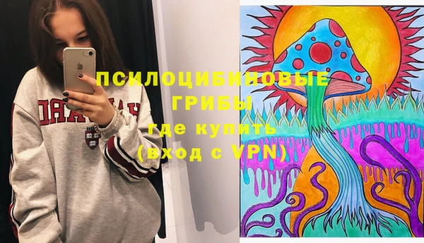 первитин Алексин