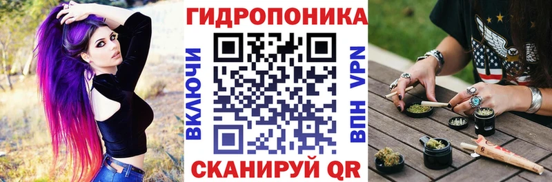 Канабис план  где купить   Заволжск 